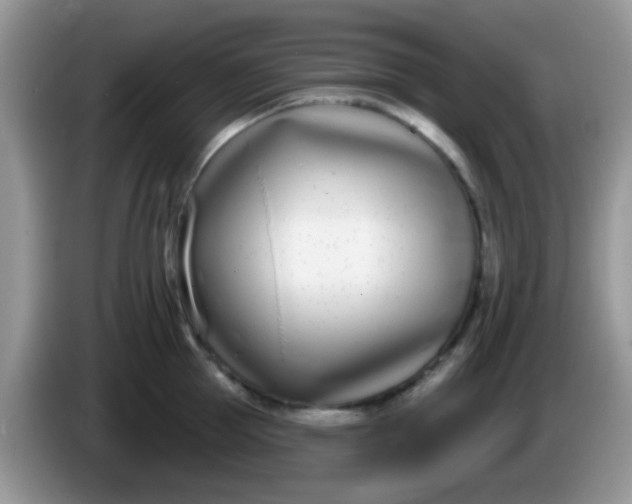 X0000086250953200704121949