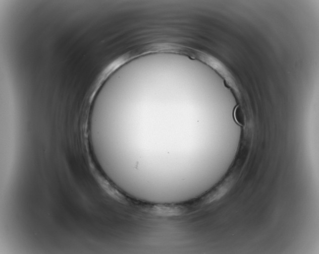 X0000086250954200704121949