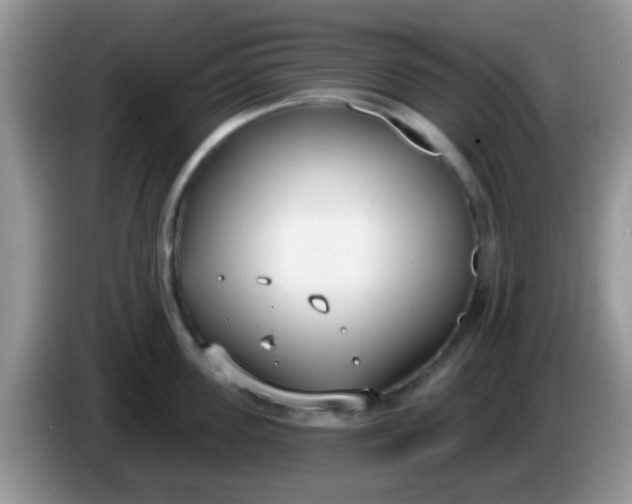 X0000086250955200704121949