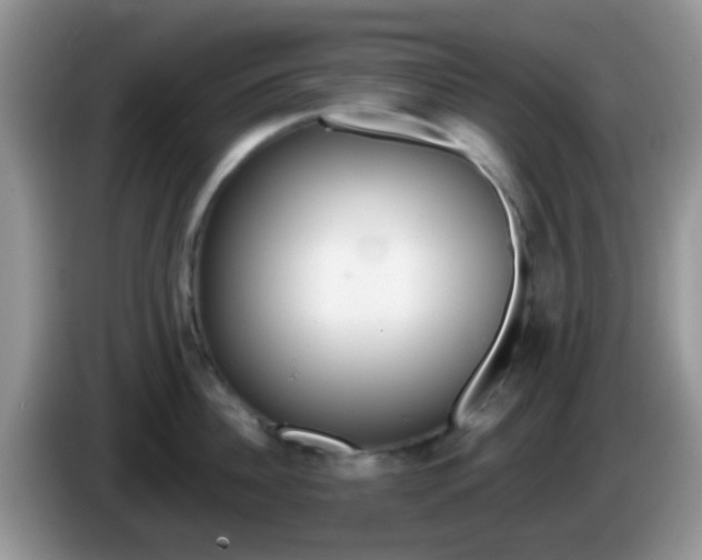 X0000086250956200704121949