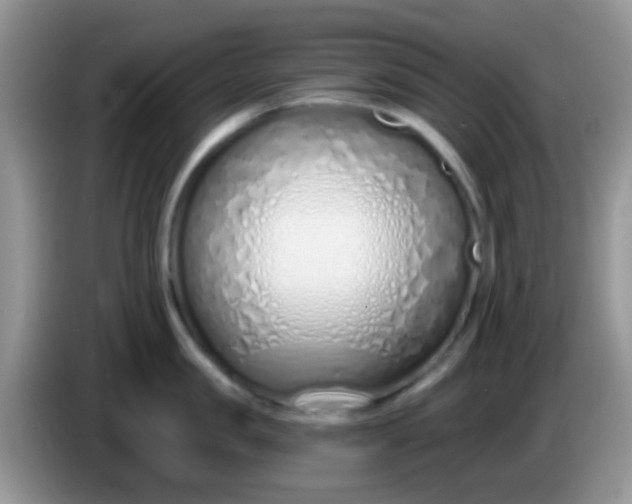 X0000086250957200704121949