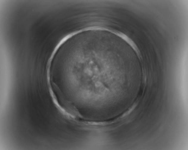 X0000086250958200704121949