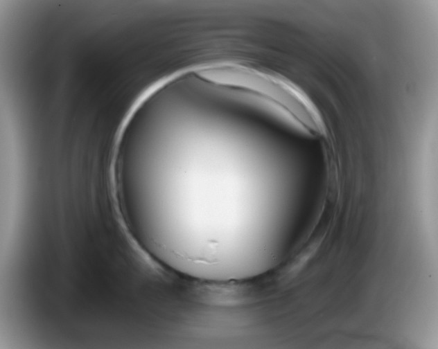 X0000086250959200704121949