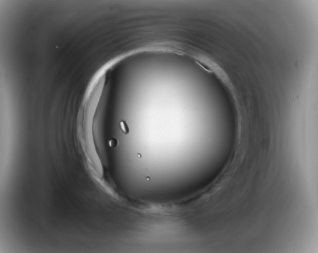 X0000086250960200704121949