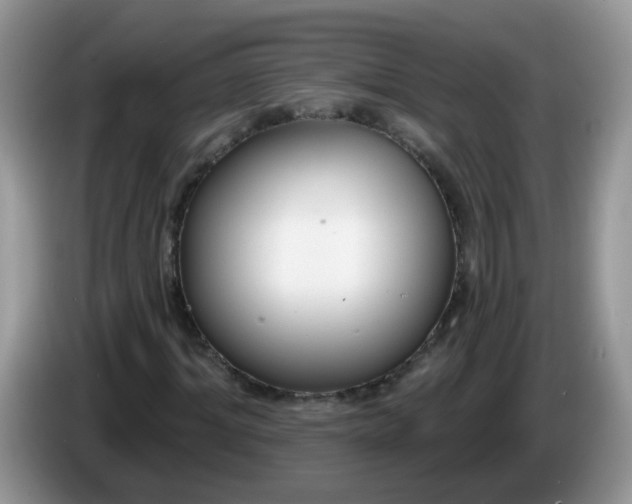 X0000086250964200704121949