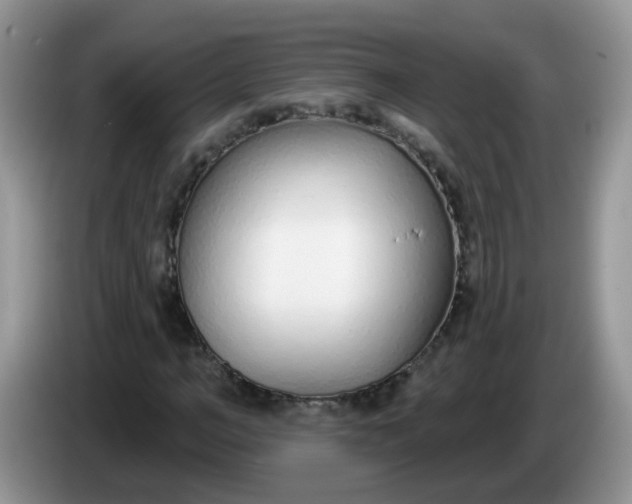 X0000086250966200704121949