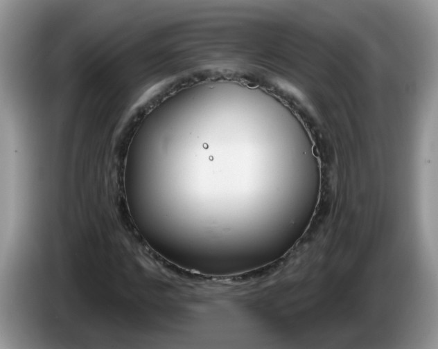 X0000086250968200704121949