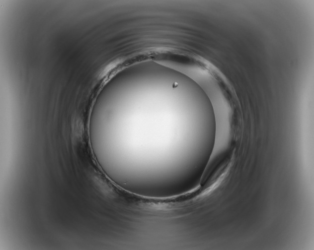 X0000086250969200704121949