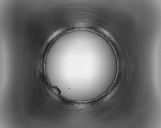 X0000086250970200704121949