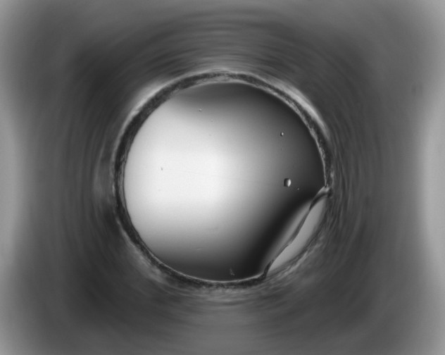X0000086250972200704121949