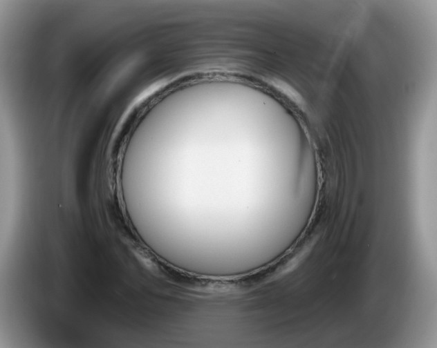 X0000086250974200704121949