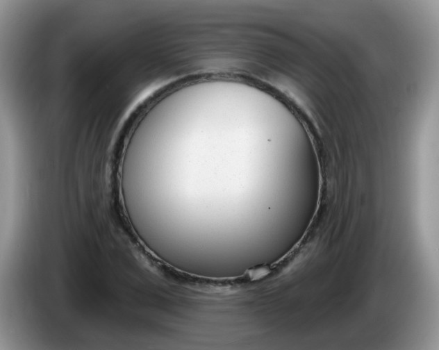 X0000086250975200704121949