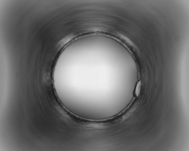 X0000086250977200704121949