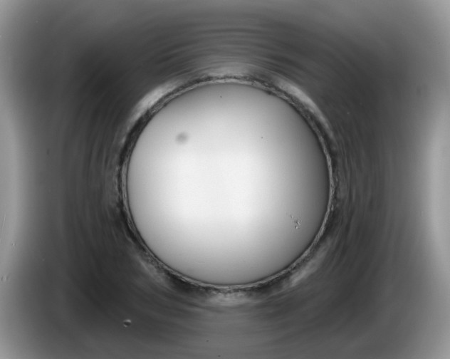 X0000086250978200704121949