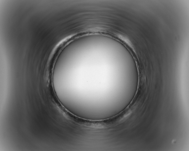X0000086250979200704121949