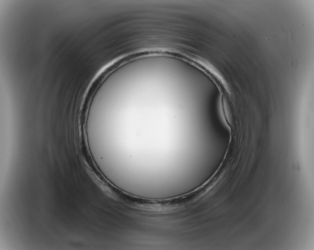 X0000086250980200704121949