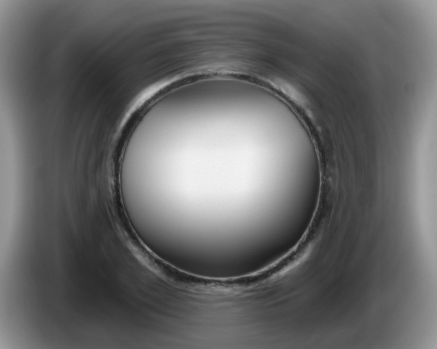 X0000086250981200704121949