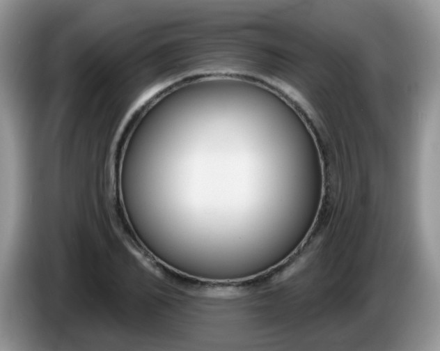 X0000086250982200704121949
