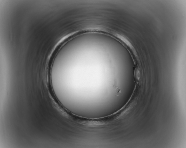 X0000086250984200704121948