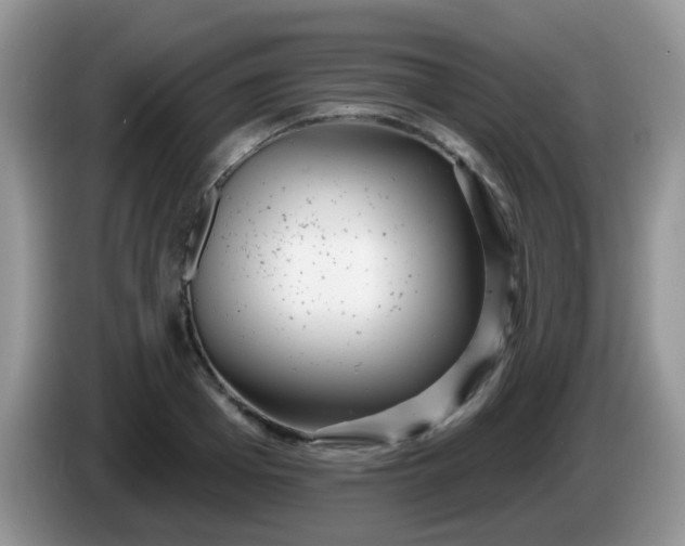 X0000086250985200704121948