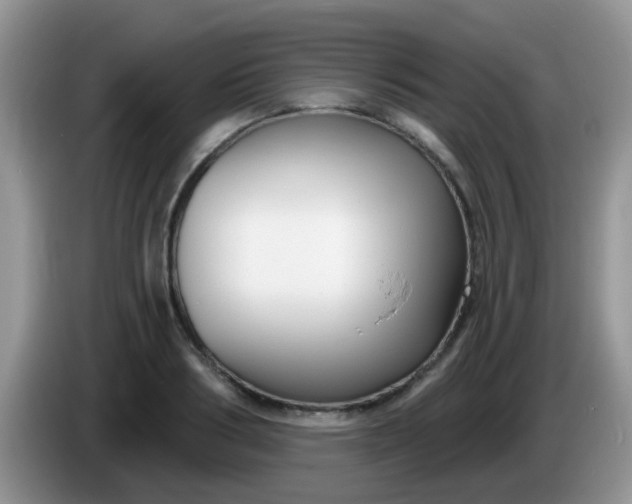 X0000086250986200704121948
