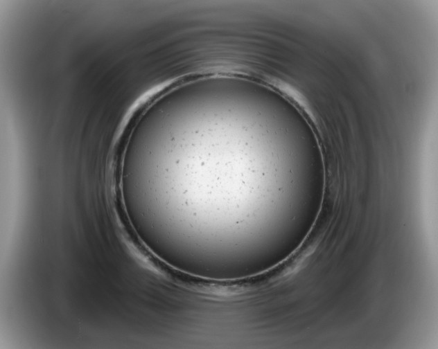 X0000086250987200704121948