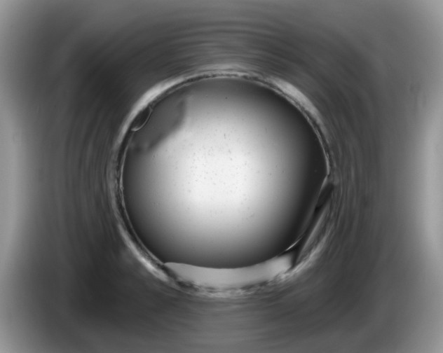 X0000086250989200704121948