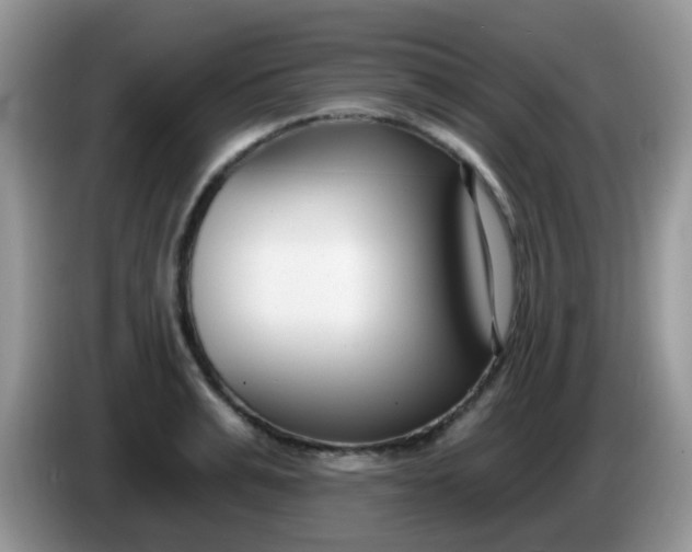 X0000086250991200704121948