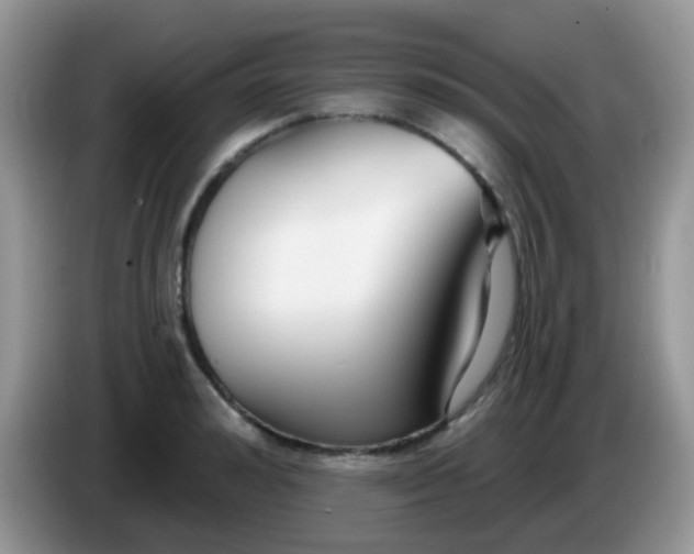 X0000086250992200704121948