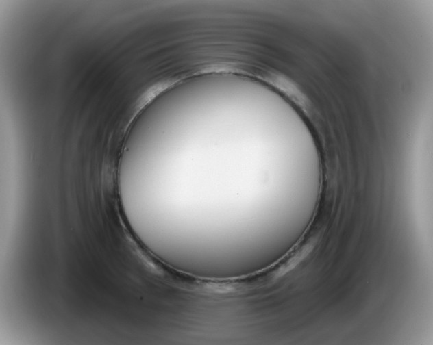 X0000086250993200704121948
