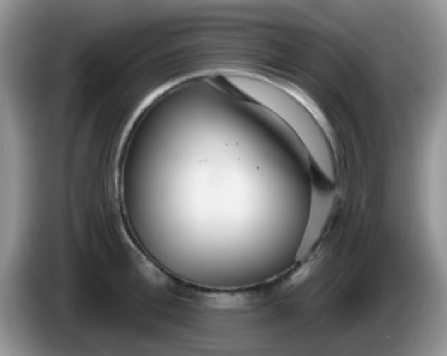 X0000086250996200704121948