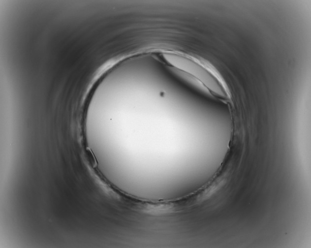 X0000086250997200704121948