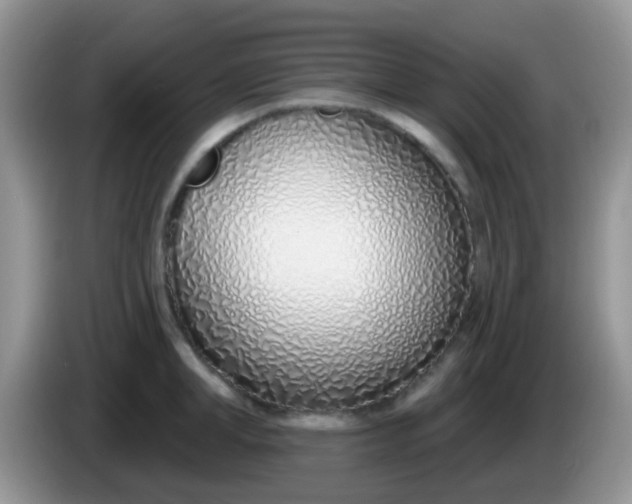 X0000086250998200704121948