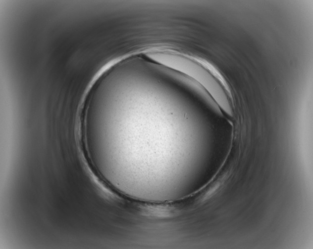 X0000086250999200704121948