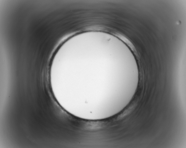 X0000086251000200704121948