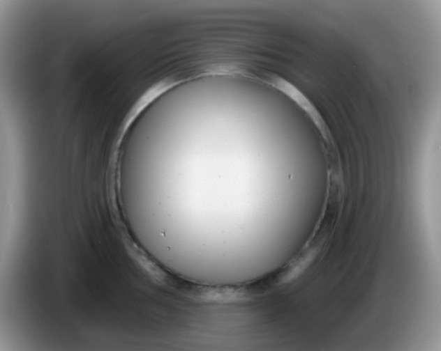 X0000086251002200704121948