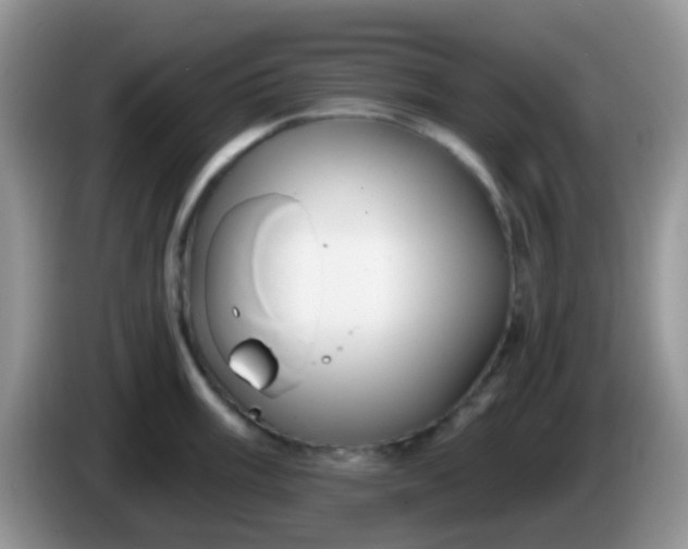 X0000086251003200704121948