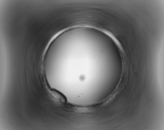 X0000086251004200704121948