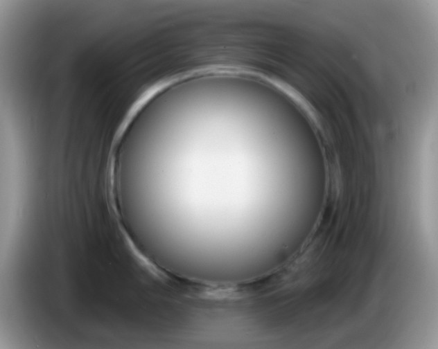 X0000086251006200704121948