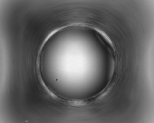 X0000086251007200704121948