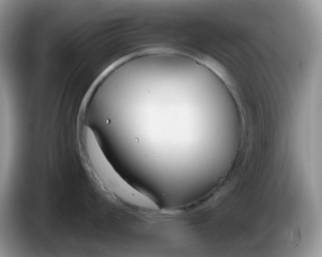 X0000086251008200704121948