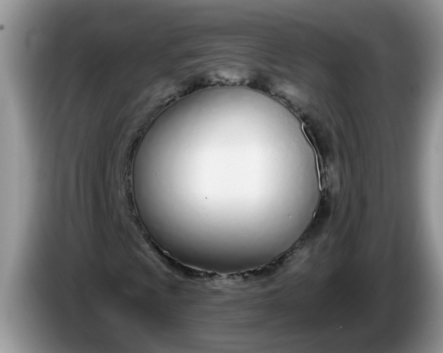X0000086251009200704121948