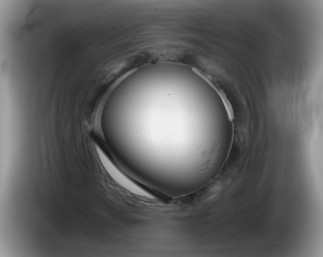 X0000086251010200704121948