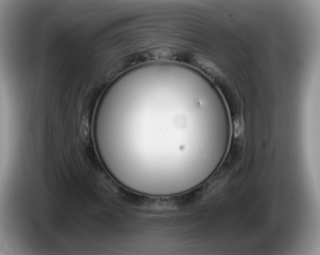 X0000086251011200704121948