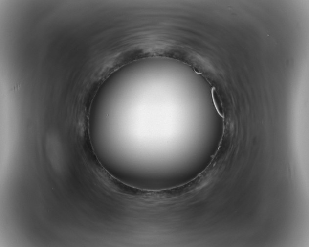 X0000086251012200704121948