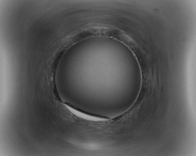 X0000086251013200704121948