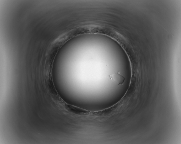 X0000086251014200704121948