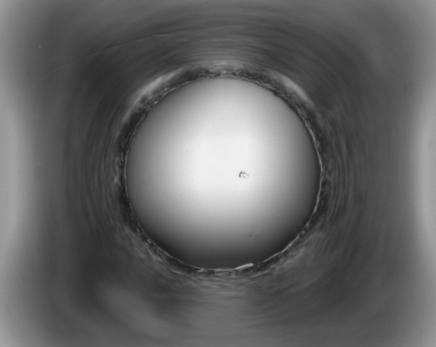 X0000086251016200704121948