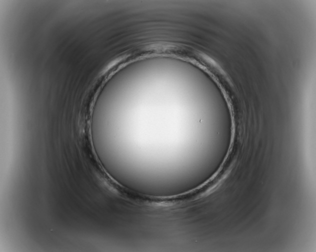 X0000086251017200704121948