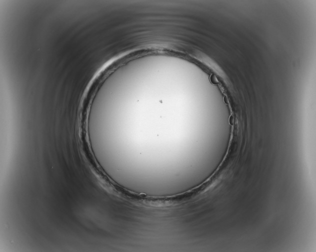 X0000086251020200704121948